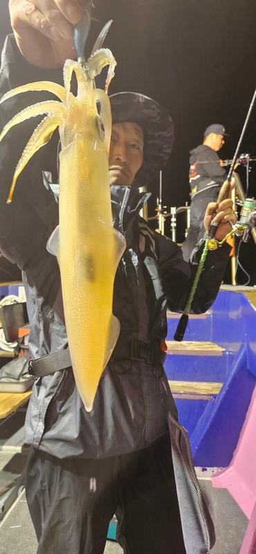 거제 적호의 조황일지 이미지 - 3