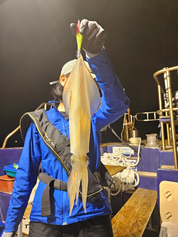 거제 적호의 조황일지 이미지 - 8