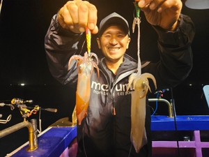 한치 조황 입니다 선상낚시로 잡은 물고기 조황