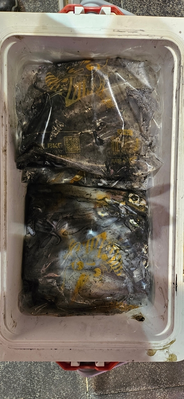 거제 적호의 조황일지 이미지 - 5