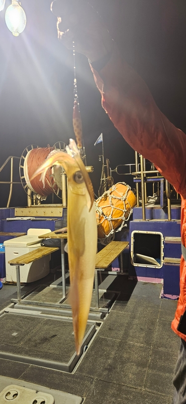 거제 적호의 조황일지 이미지 - 6