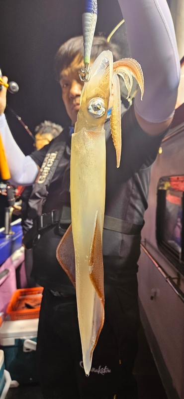 거제 적호의 조황일지 이미지 - 2