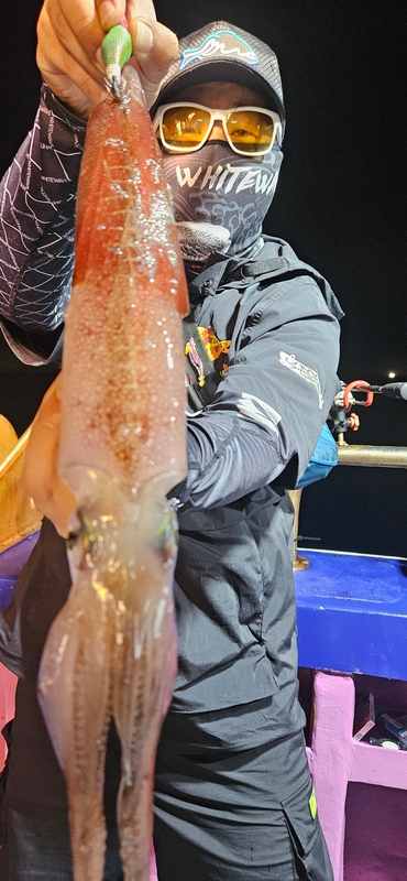 거제 적호의 조황일지 이미지 - 1