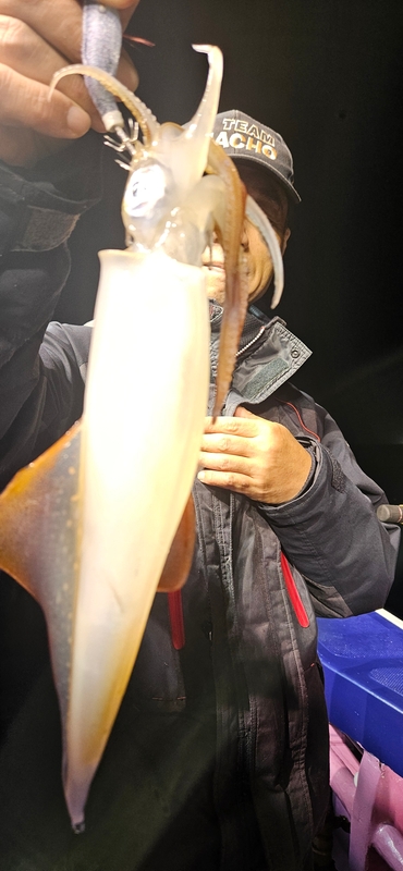 거제 적호의 조황일지 이미지 - 4