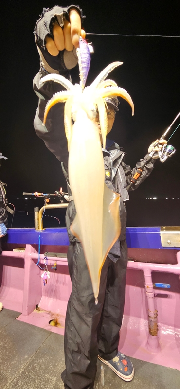 거제 적호의 조황일지 이미지 - 5