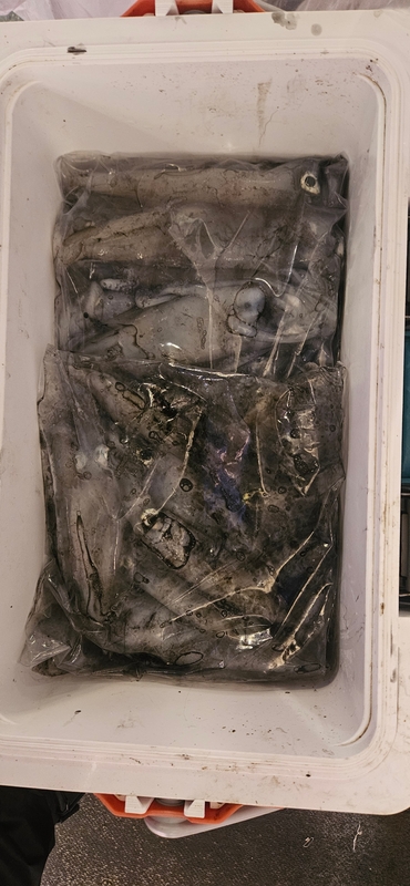 거제 적호의 조황일지 이미지 - 9