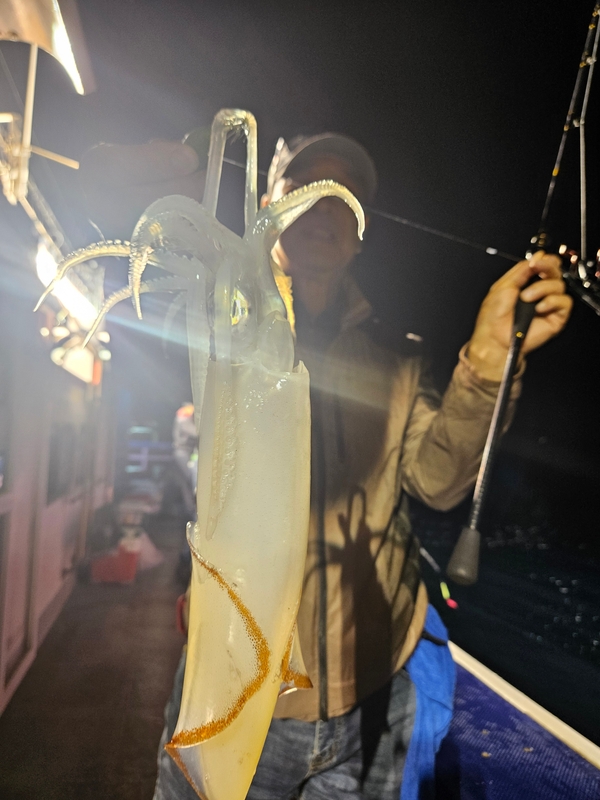 거제 적호의 조황일지 이미지 - 4