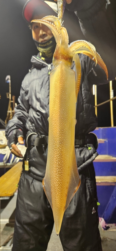 거제 적호의 조황일지 이미지 - 5