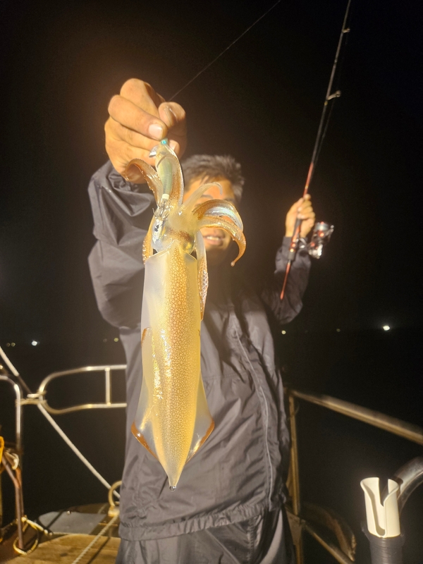 거제 적호의 조황일지 이미지 - 1