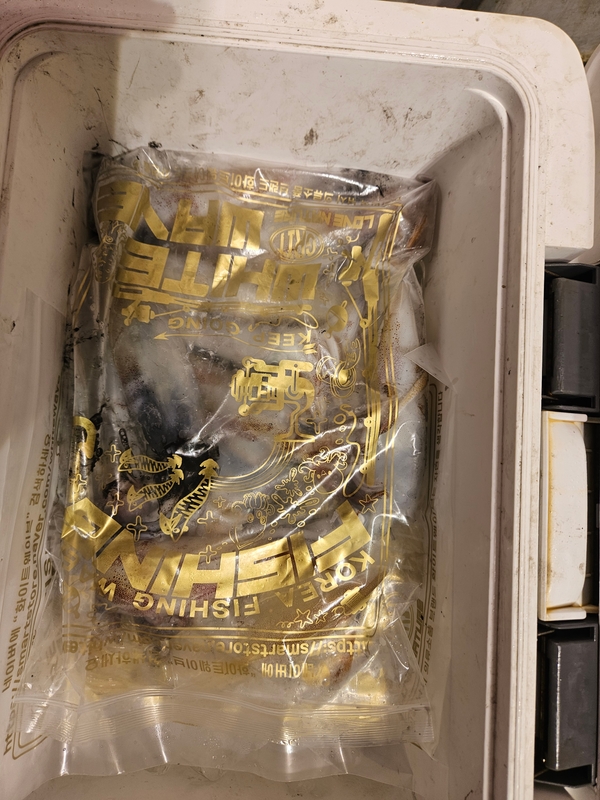 거제 적호의 조황일지 이미지 - 5