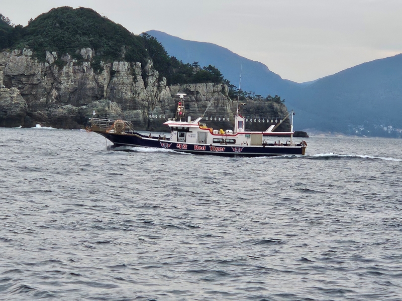 해당 선사를 대표하는 이미지