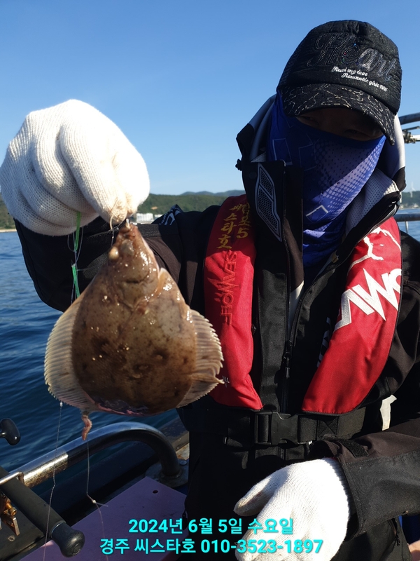 경주선상낚시씨스타호의 조황일지 이미지 - 3