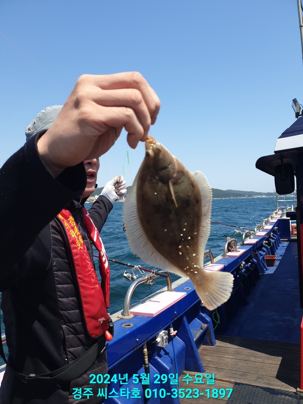 경주선상낚시씨스타호의 조황일지 이미지 - 2