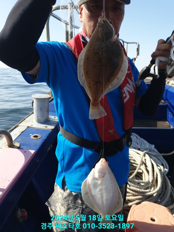 경주선상낚시씨스타호의 조황일지 이미지 - 19