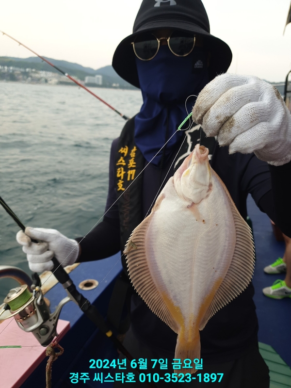 경주선상낚시씨스타호의 조황일지 이미지 - 15