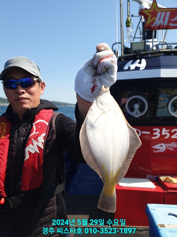 경주선상낚시씨스타호의 조황일지 이미지 - 9