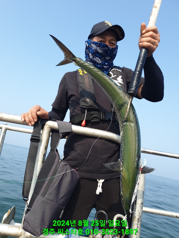 경주선상낚시씨스타호의 조황일지 이미지 - 7