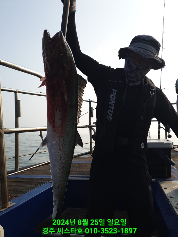경주선상낚시씨스타호의 조황일지 이미지 - 10
