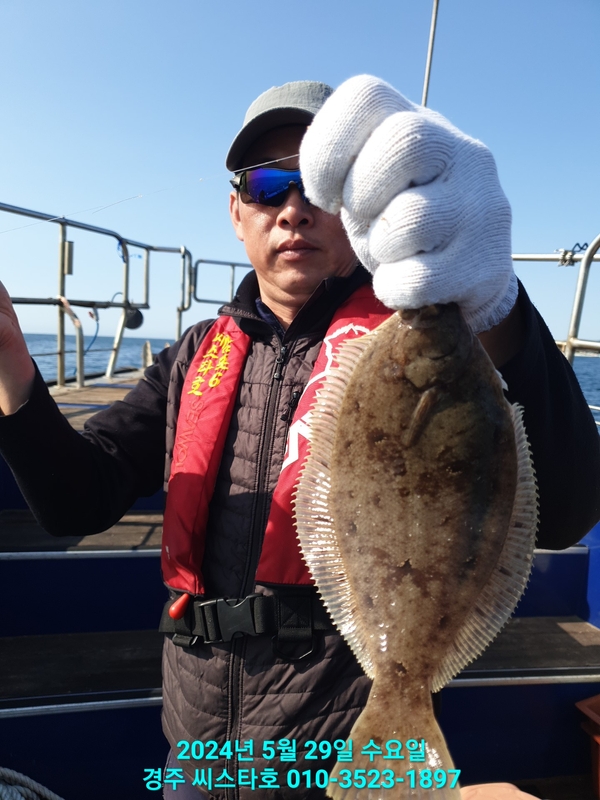 경주선상낚시씨스타호의 조황일지 이미지 - 16