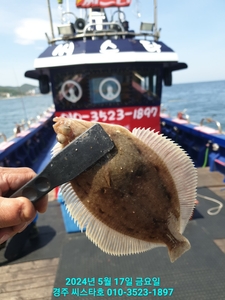 도다리 소수 인원 출조(18/토 예약 중) 선상낚시로 잡은 물고기 조황