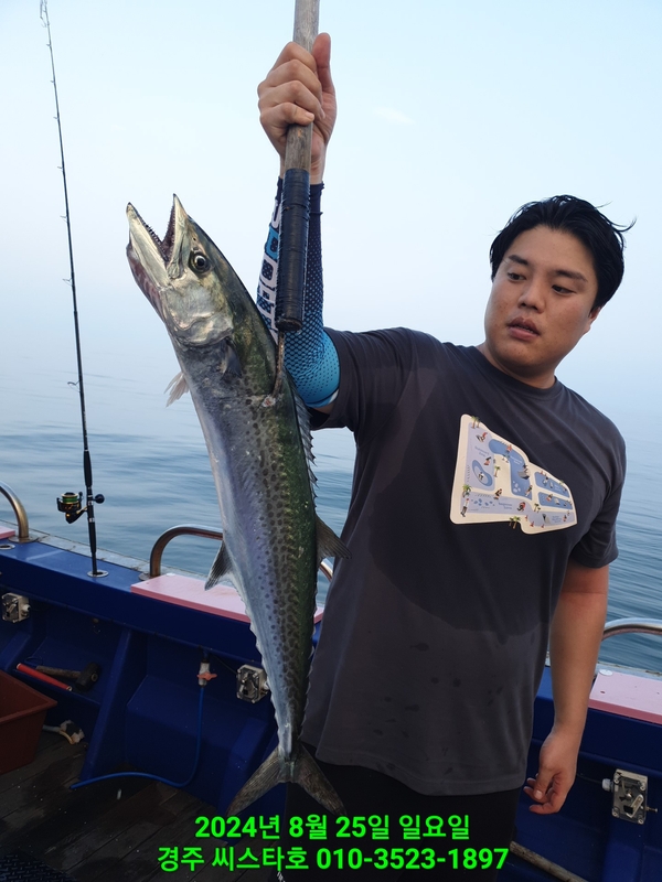 경주선상낚시씨스타호의 조황일지 이미지 - 12