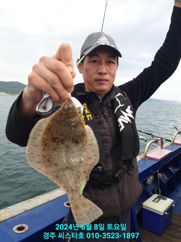 경주선상낚시씨스타호의 조황일지 이미지 - 16