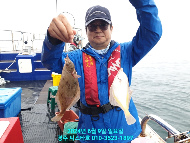 경주선상낚시씨스타호의 조황일지 이미지 - 5