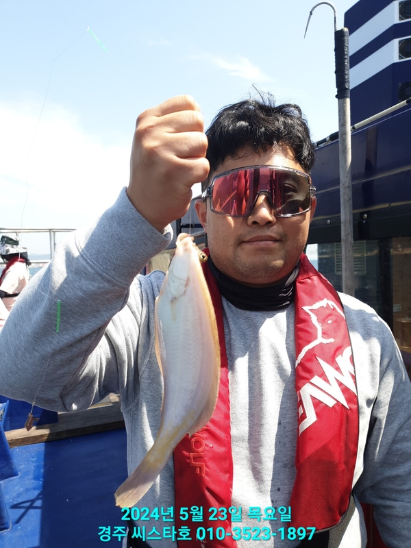 경주선상낚시씨스타호의 조황일지 이미지 - 3