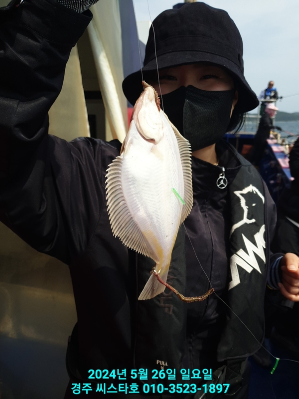 경주선상낚시씨스타호의 조황일지 이미지 - 7