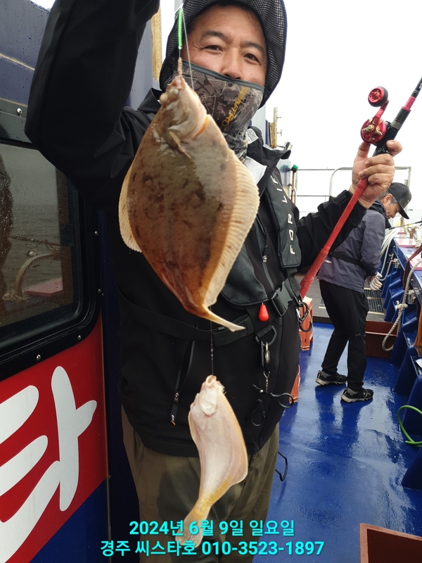 경주선상낚시씨스타호의 조황일지 이미지 - 2