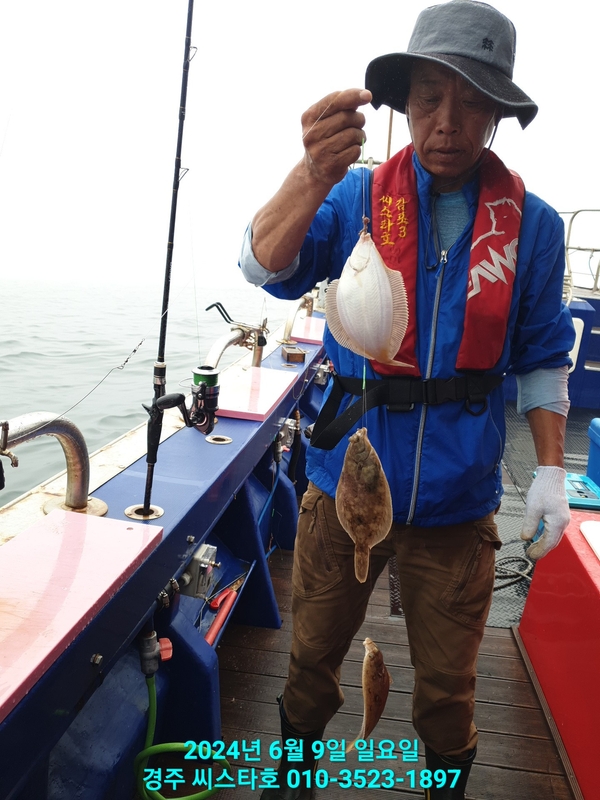 경주선상낚시씨스타호의 조황일지 이미지 - 3
