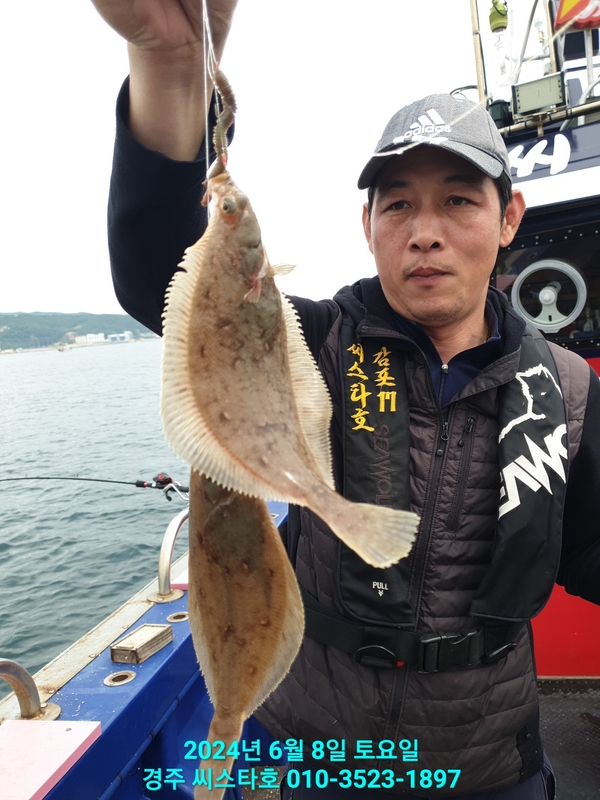 경주선상낚시씨스타호의 조황일지 이미지 - 6