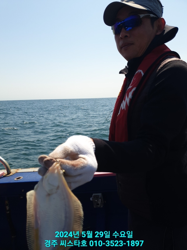 경주선상낚시씨스타호의 조황일지 이미지 - 19