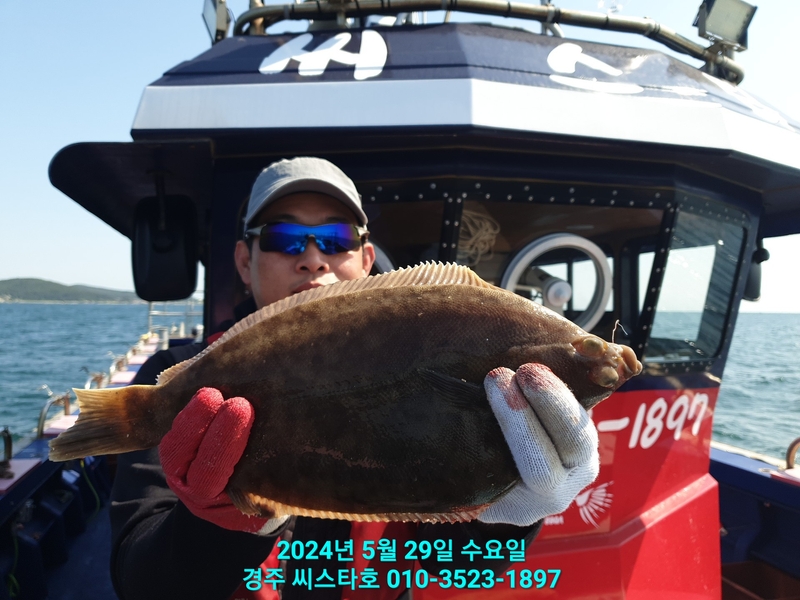 경주선상낚시씨스타호의 조황일지 이미지 - 10