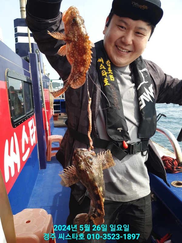 경주선상낚시씨스타호의 조황일지 이미지 - 13