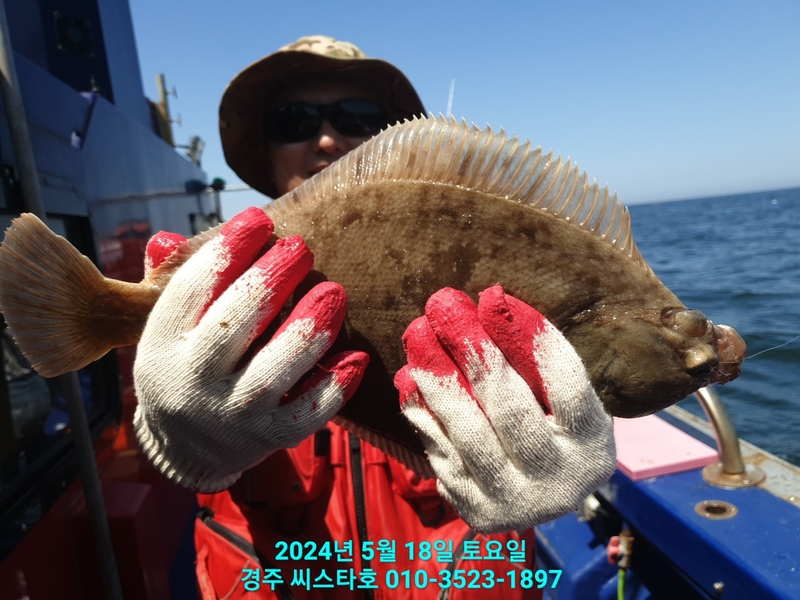 경주선상낚시씨스타호의 조황일지 이미지 - 10