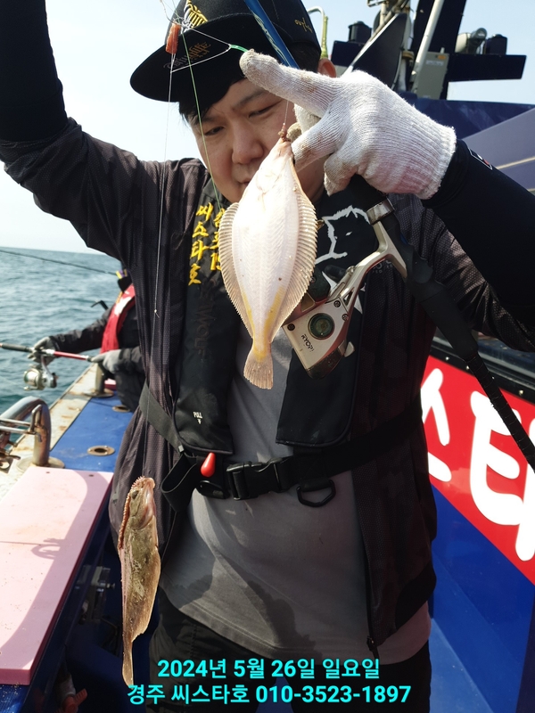 경주선상낚시씨스타호의 조황일지 이미지 - 10