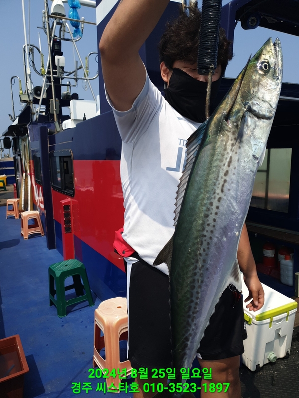 경주선상낚시씨스타호의 조황일지 이미지 - 2