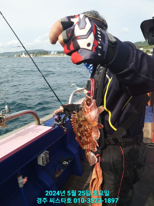 경주선상낚시씨스타호의 조황일지 이미지 - 17