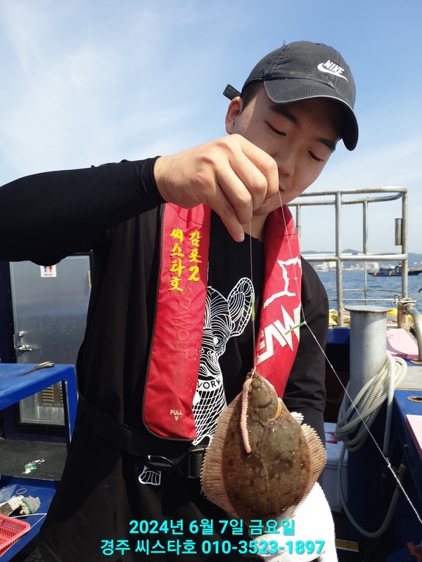 경주선상낚시씨스타호의 조황일지 이미지 - 3