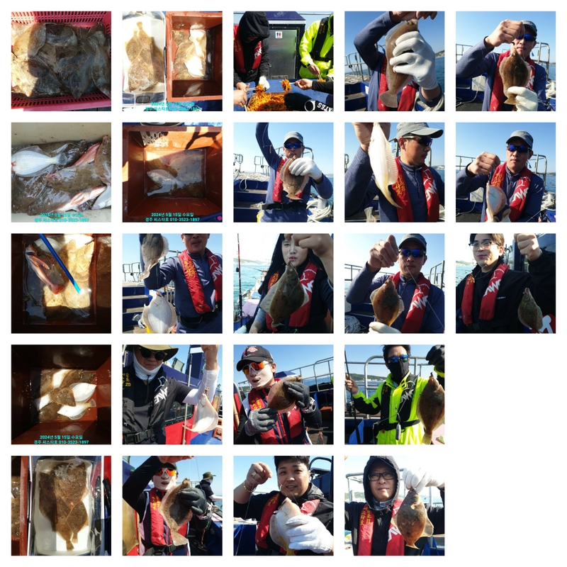 경주선상낚시씨스타호의 조황일지 이미지 - 1