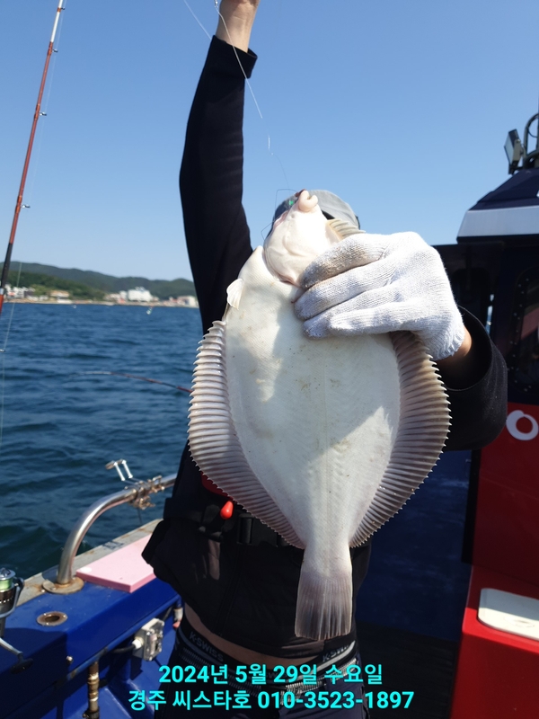 경주선상낚시씨스타호의 조황일지 이미지 - 12