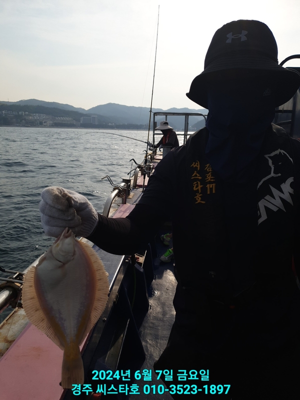 경주선상낚시씨스타호의 조황일지 이미지 - 13