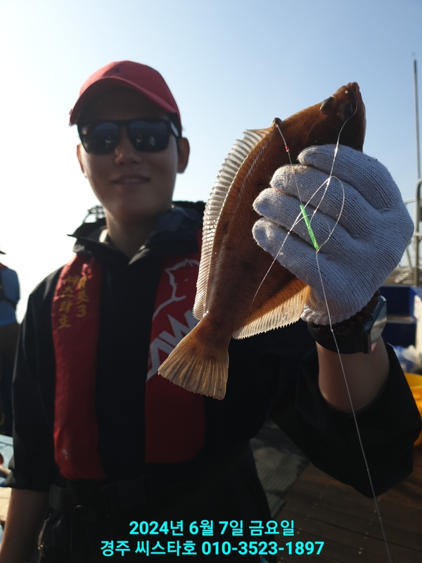 경주선상낚시씨스타호의 조황일지 이미지 - 4