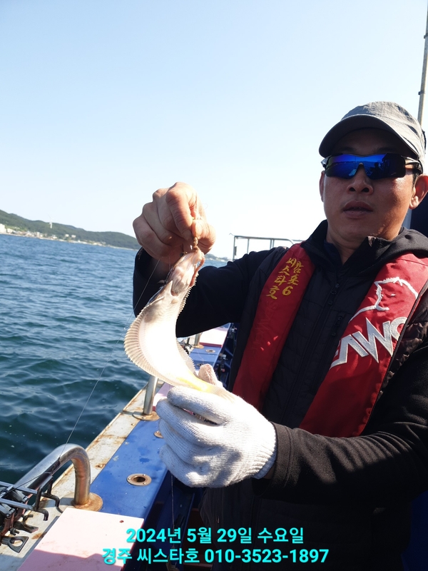 경주선상낚시씨스타호의 조황일지 이미지 - 18