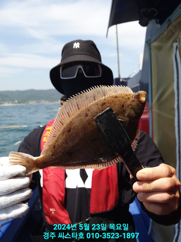 경주선상낚시씨스타호의 조황일지 이미지 - 15