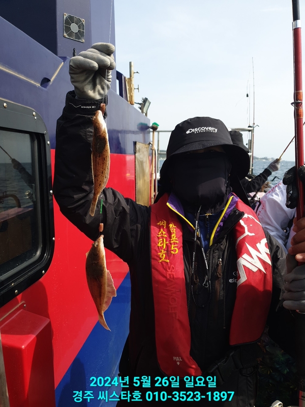 경주선상낚시씨스타호의 조황일지 이미지 - 12