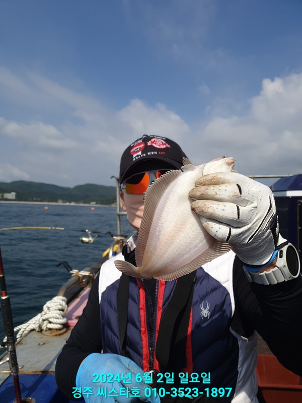 경주선상낚시씨스타호의 조황일지 이미지 - 14