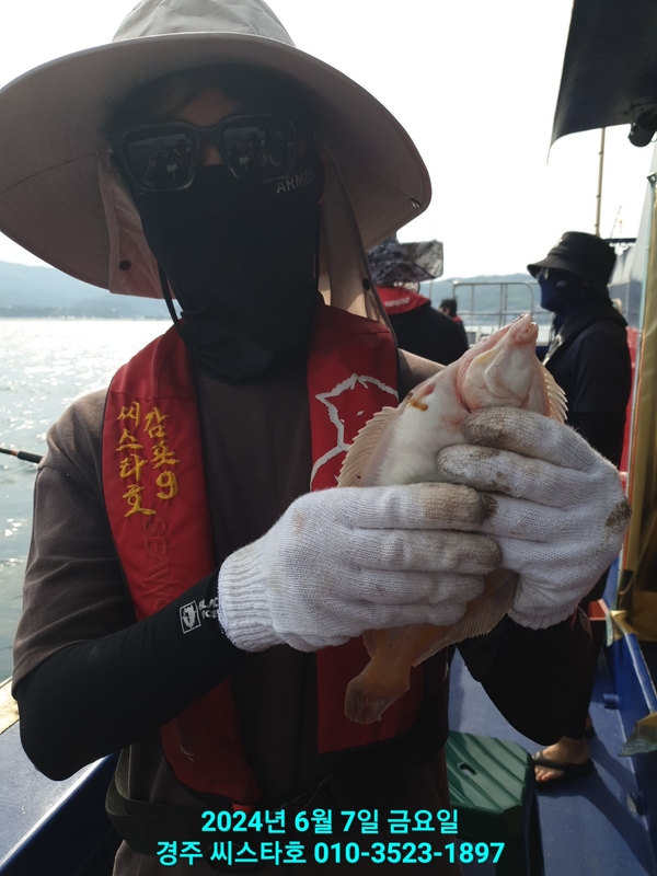 경주선상낚시씨스타호의 조황일지 이미지 - 8