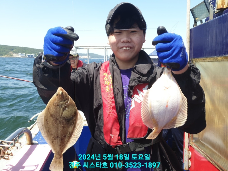 경주선상낚시씨스타호의 조황일지 이미지 - 12